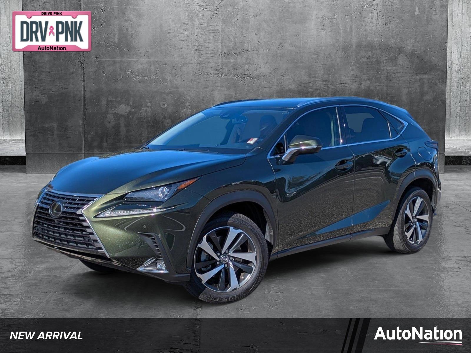 2021 Lexus NX 300 Vehicle Photo in Clearwater, FL 33761