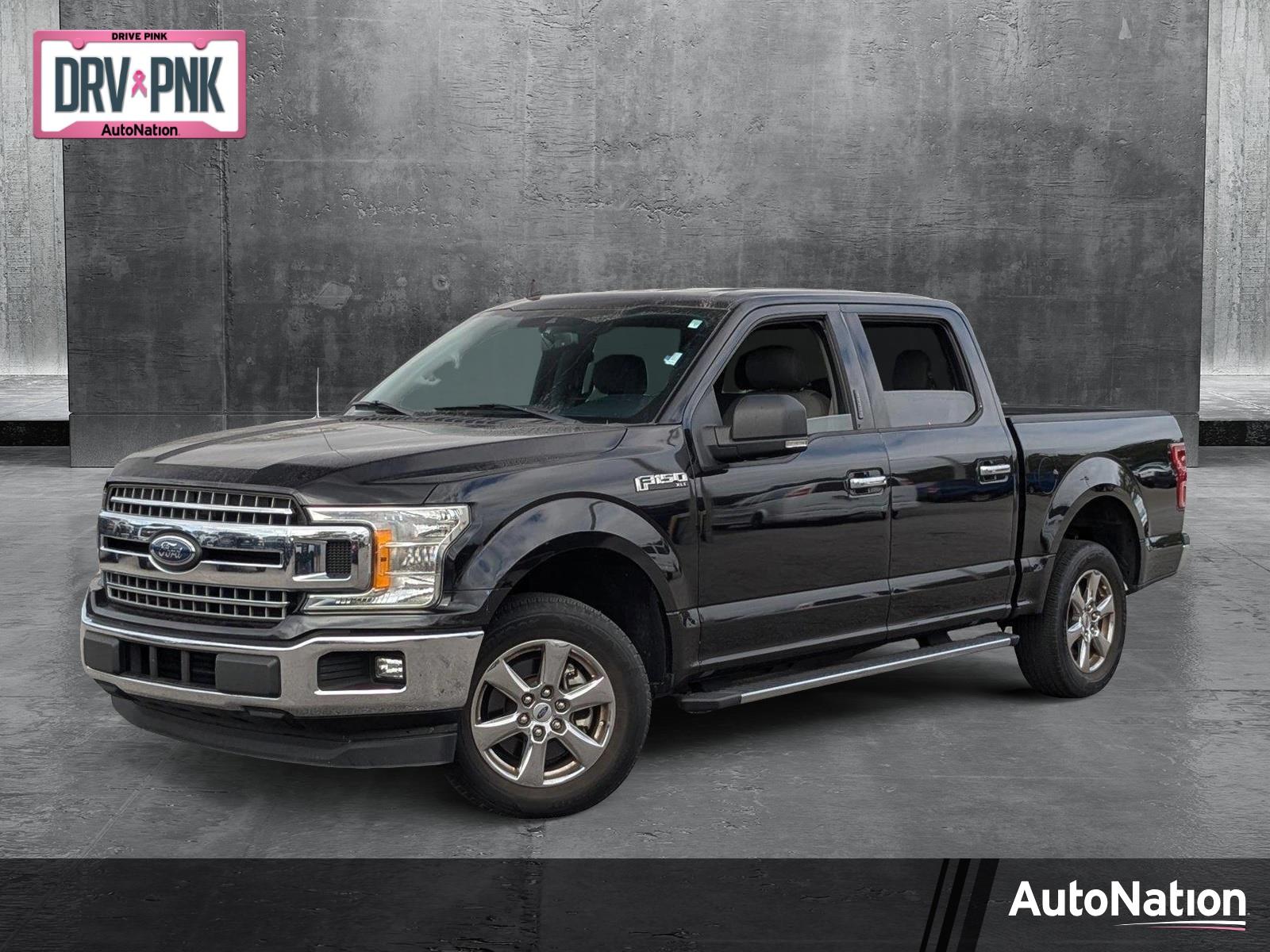 2019 Ford F-150 Vehicle Photo in St. Petersburg, FL 33713