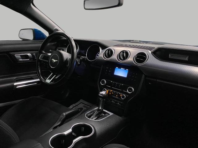 2019 Ford Mustang Vehicle Photo in Appleton, WI 54913
