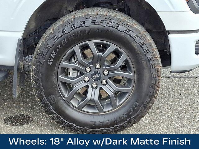 2024 Ford F-150 Vehicle Photo in PAWLING, NY 12564-3219