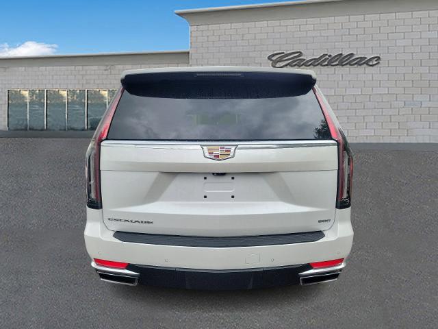 2022 Cadillac Escalade Vehicle Photo in TREVOSE, PA 19053-4984