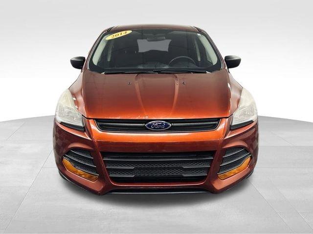 2014 Ford Escape Vehicle Photo in MEDINA, OH 44256-9631