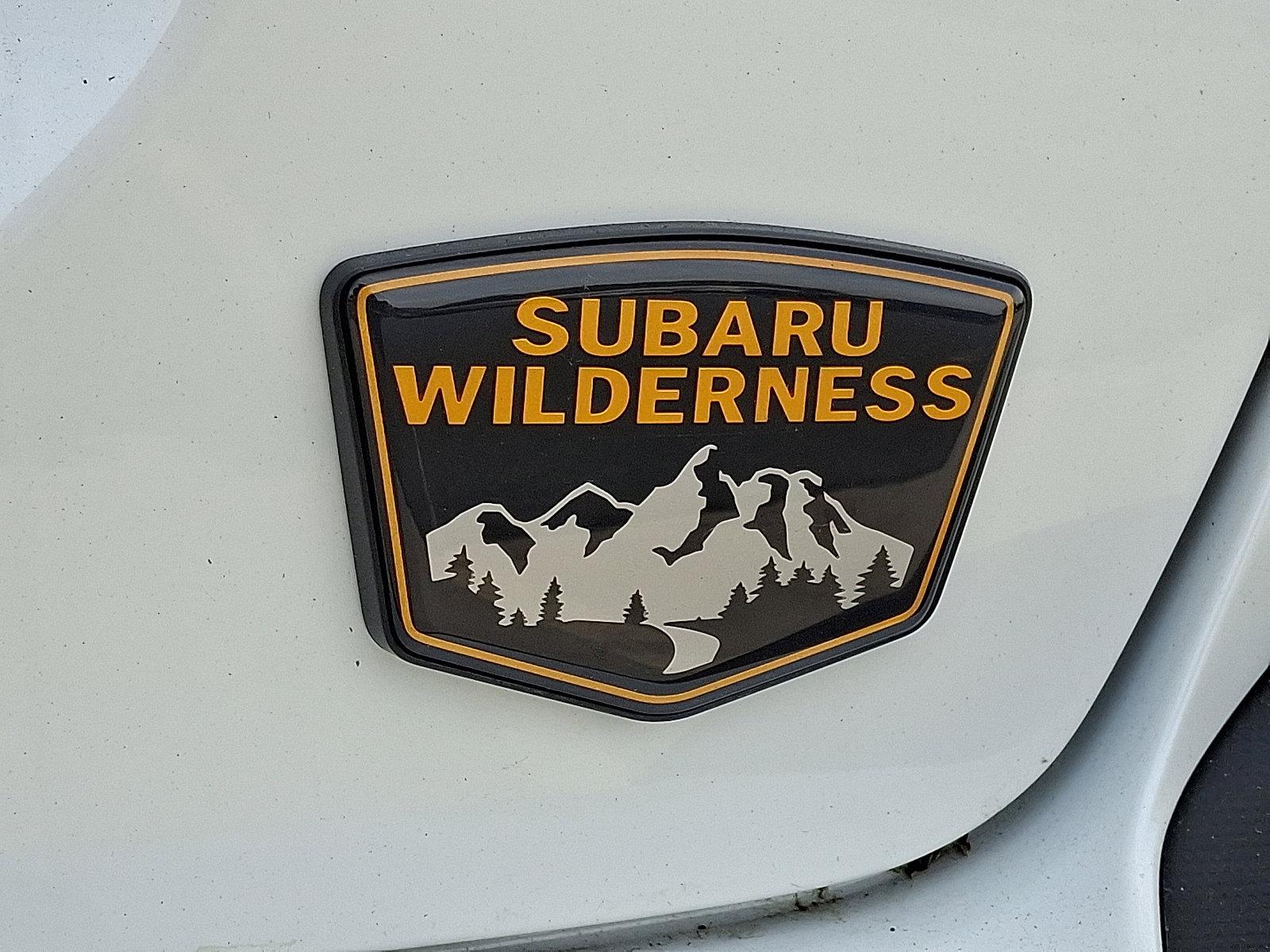 2025 Subaru Crosstrek Vehicle Photo in Easton, PA 18045