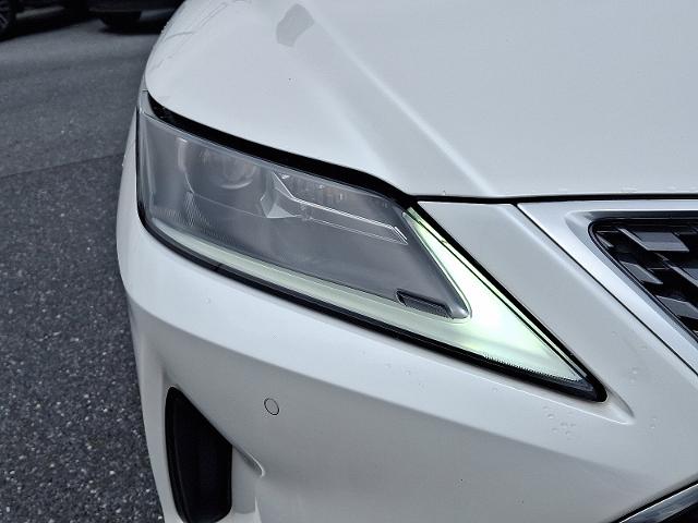 2020 Lexus RX Vehicle Photo in HARRISBURG, PA 17111-1033