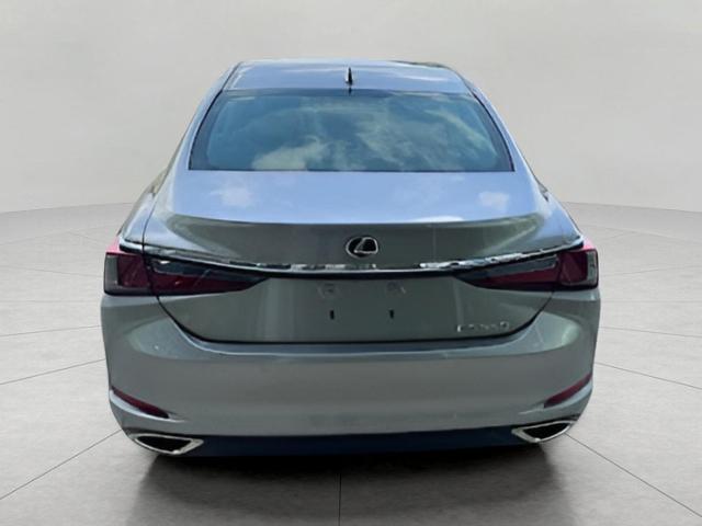 2019 Lexus ES 350 Vehicle Photo in Appleton, WI 54913