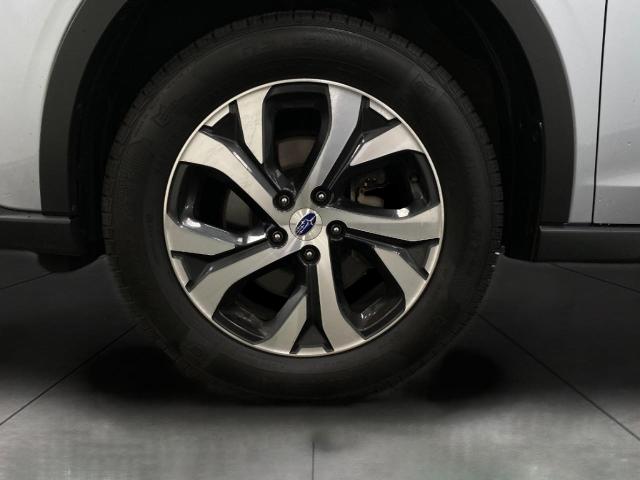 2022 Subaru Outback Vehicle Photo in Appleton, WI 54913