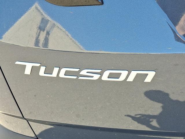 2025 Hyundai TUCSON Vehicle Photo in Philadelphia, PA 19116