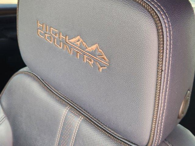 2024 Chevrolet Silverado 3500 HD Vehicle Photo in SUGAR LAND, TX 77478-0000