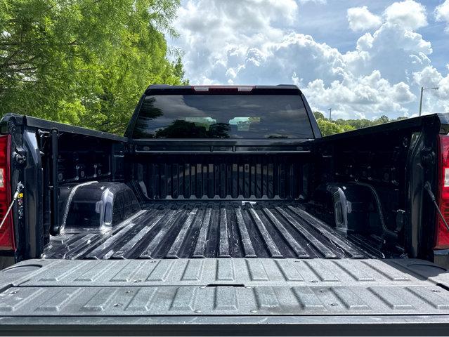 2023 Chevrolet Silverado 1500 Vehicle Photo in Hinesville, GA 31313