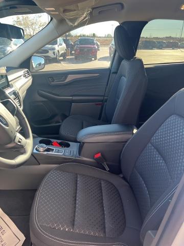 2024 Ford Escape Vehicle Photo in Winslow, AZ 86047-2439