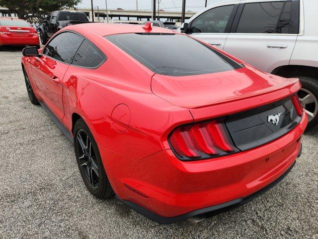 2023 Ford Mustang Vehicle Photo in SUGAR LAND, TX 77478-0000