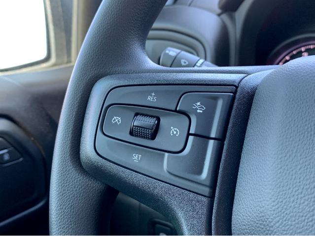 2025 Chevrolet Silverado 1500 Vehicle Photo in SAVANNAH, GA 31406-4513