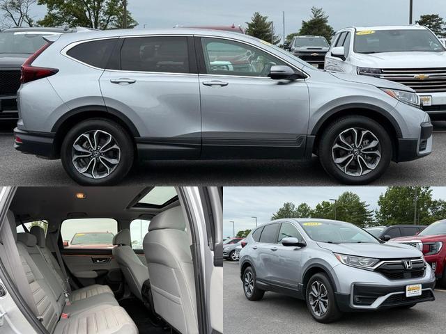 2021 Honda CR-V Vehicle Photo in COLUMBIA, MO 65203-3903