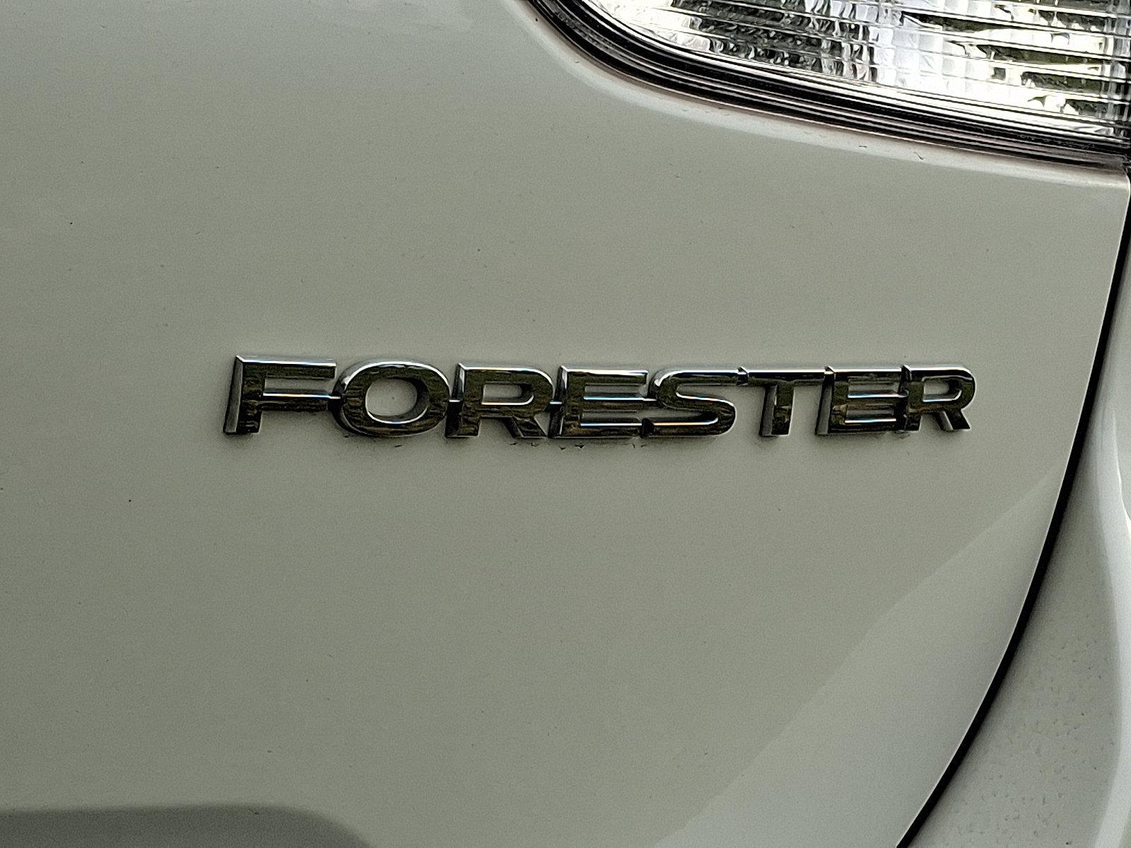 2019 Subaru Forester Vehicle Photo in Easton, PA 18045