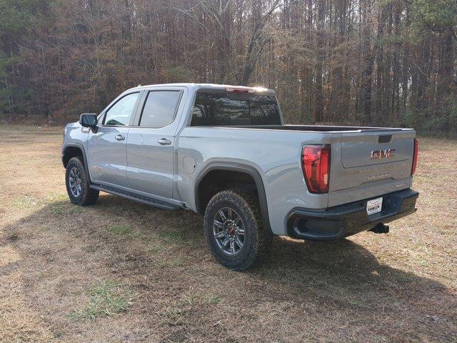 2025 GMC Sierra 1500 Vehicle Photo in ALBERTVILLE, AL 35950-0246