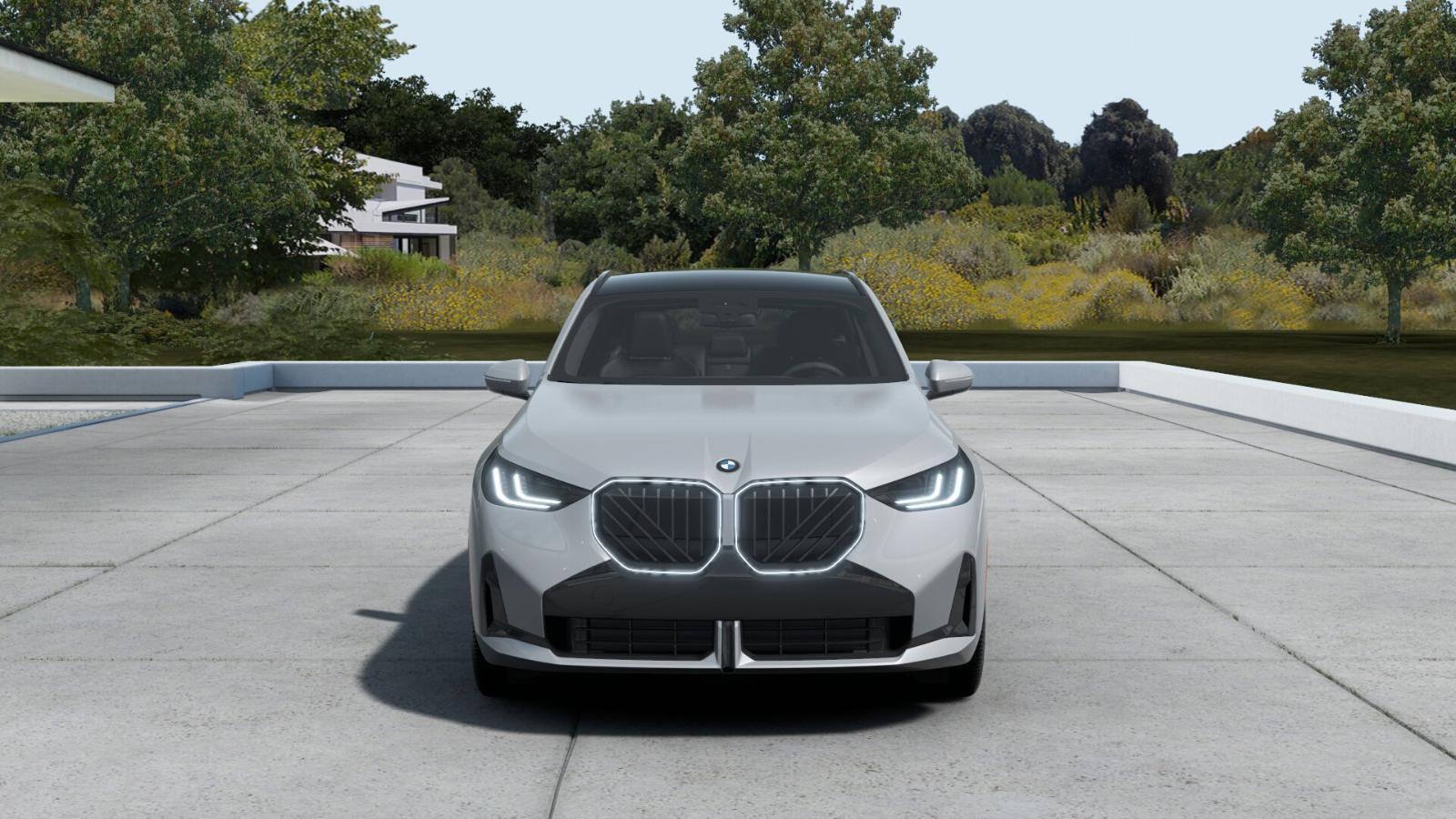 2025 BMW X3 30 xDrive Vehicle Photo in GRAPEVINE, TX 76051