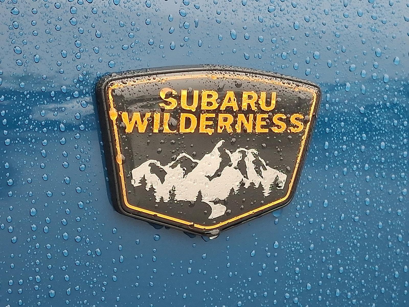2025 Subaru Crosstrek Vehicle Photo in Easton, PA 18045