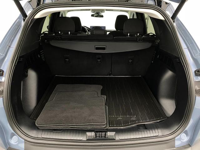2024 Ford Escape Vehicle Photo in Appleton, WI 54913