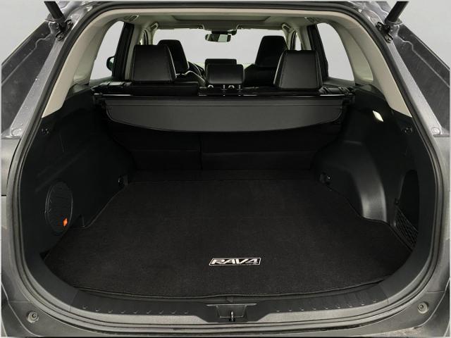 2023 Toyota RAV4 Vehicle Photo in Appleton, WI 54913