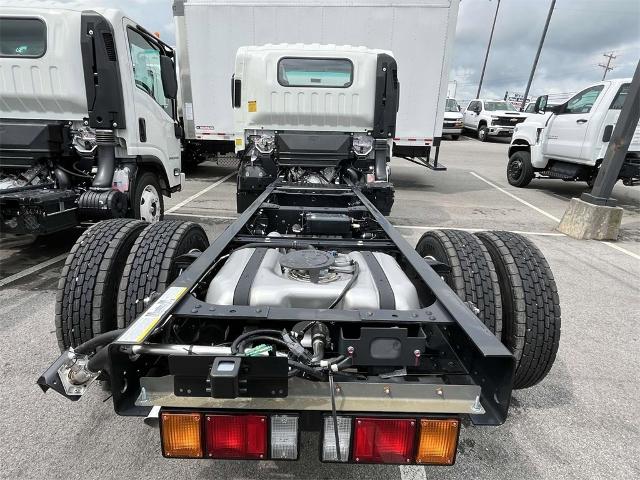 2024 Chevrolet Low Cab Forward 4500 Vehicle Photo in ALCOA, TN 37701-3235