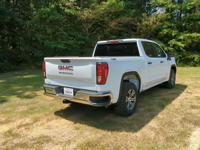 2024 GMC Sierra 1500 Vehicle Photo in ALBERTVILLE, AL 35950-0246