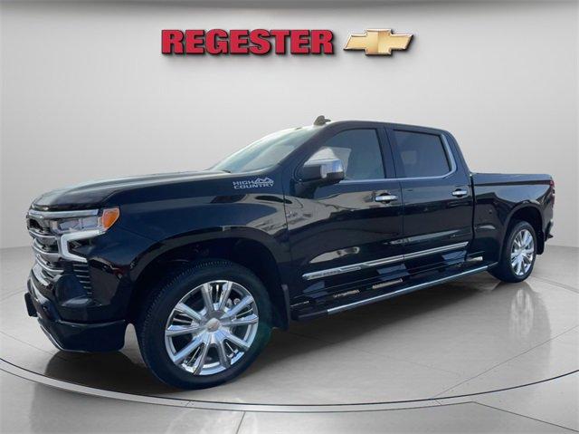 2023 Chevrolet Silverado 1500 Vehicle Photo in THOMPSONTOWN, PA 17094-9014