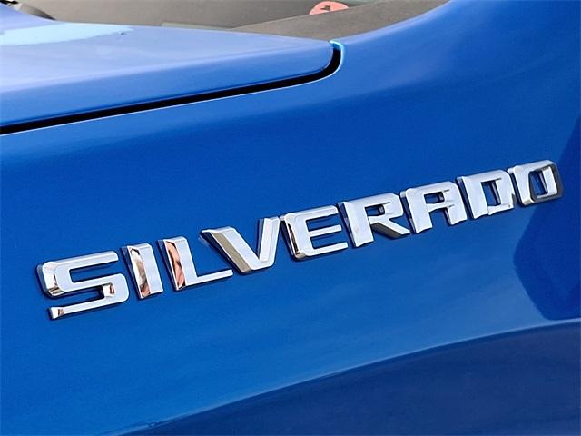 2025 Chevrolet Silverado 1500 Vehicle Photo in SEAFORD, DE 19973-8463