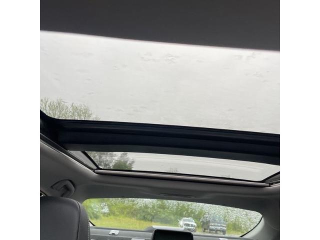 2020 Toyota Camry Vehicle Photo in Savannah, GA 31419