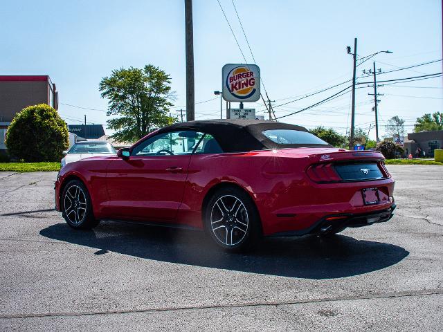 2023 Ford Mustang Vehicle Photo in MADISON, IN 47250-1611