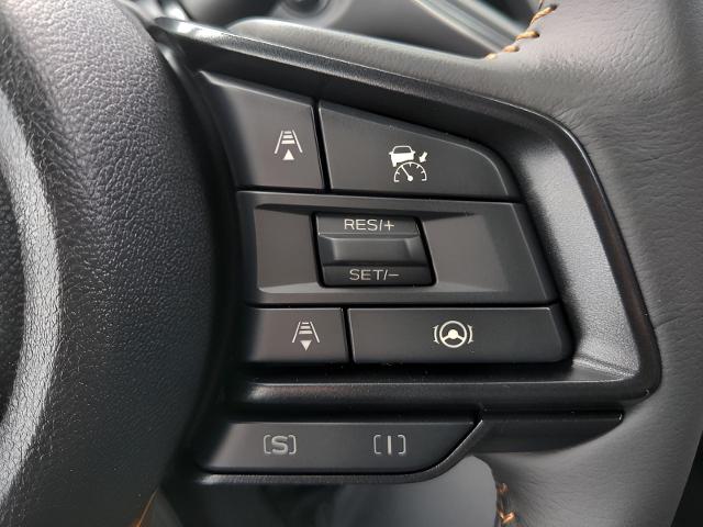 2025 Subaru Crosstrek Vehicle Photo in Green Bay, WI 54304