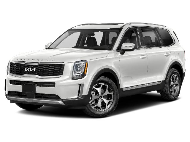 2022 Kia Telluride Vehicle Photo in BROCKTON, MA 02301-7113