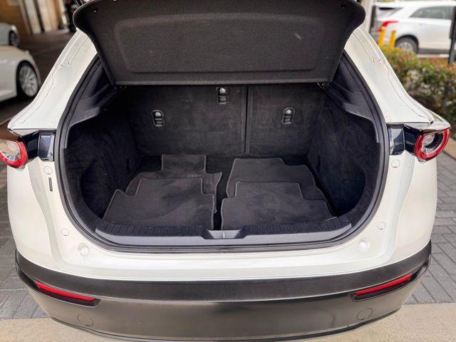 2020 Mazda CX-30 Vehicle Photo in DELRAY BEACH, FL 33483-3294
