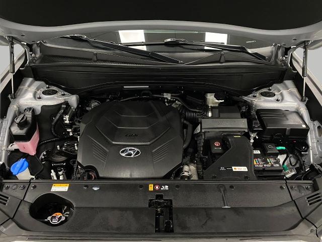 2024 Hyundai PALISADE Vehicle Photo in Appleton, WI 54913