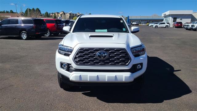 2023 Toyota Tacoma 4WD Vehicle Photo in FLAGSTAFF, AZ 86001-6214