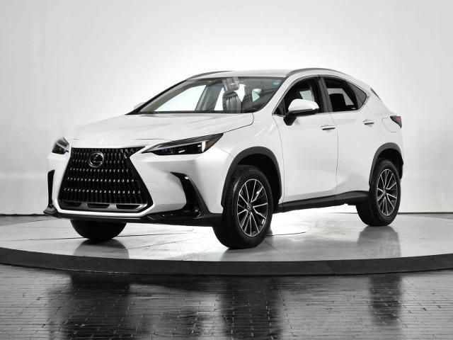 2024 Lexus NX 250 Vehicle Photo in DALLAS, TX 75235