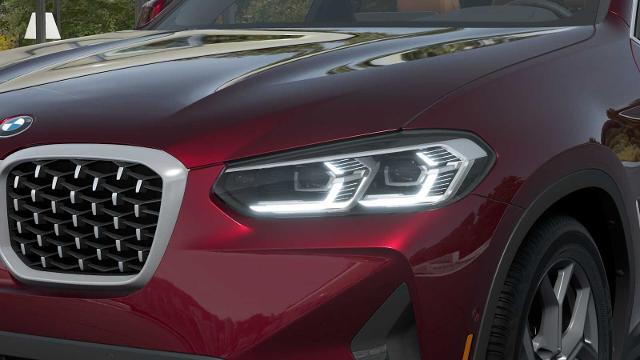 2025 BMW X4 xDrive30i Vehicle Photo in GRAPEVINE, TX 76051
