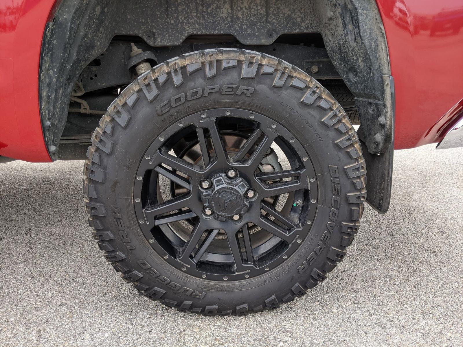 2019 Toyota Tundra 4WD Vehicle Photo in Seguin, TX 78155