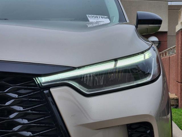 2023 INFINITI QX60 Vehicle Photo in PLANO, TX 75024