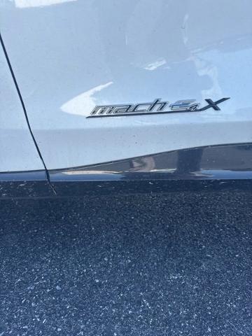 2021 Ford Mustang Mach-E Vehicle Photo in LANCASTER, PA 17601-0000