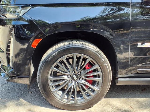 2023 Cadillac Escalade ESV Vehicle Photo in San Antonio, TX 78230-1001