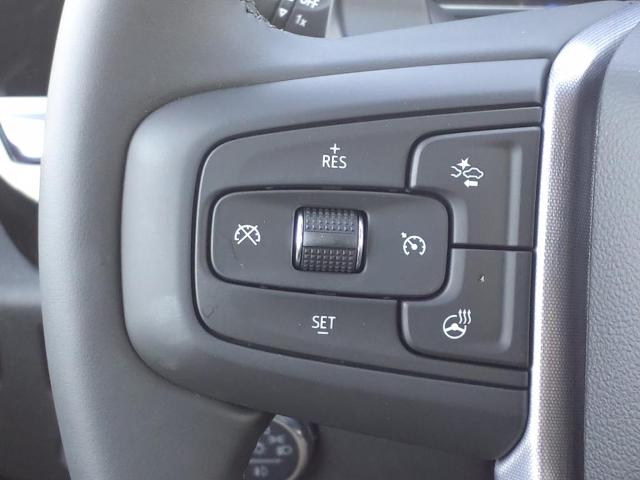 2025 GMC Sierra 1500 Vehicle Photo in Denton, TX 76205