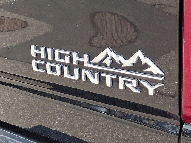 2020 Chevrolet Silverado 2500 HD Vehicle Photo in DANBURY, CT 06810-5034