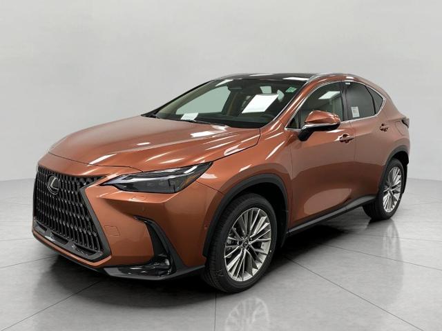 2025 Lexus NX 350 Vehicle Photo in Appleton, WI 54913