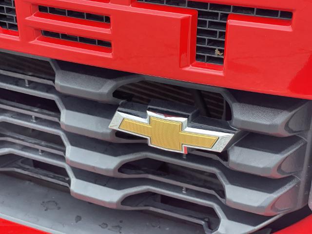 2019 Chevrolet Silverado 1500 Vehicle Photo in BENTONVILLE, AR 72712-4322