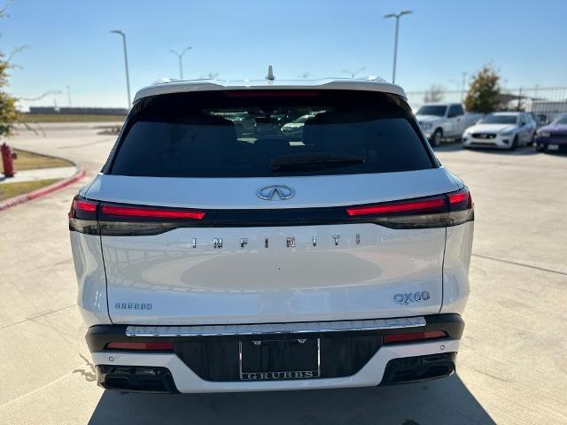 2024 INFINITI QX60 Vehicle Photo in Grapevine, TX 76051