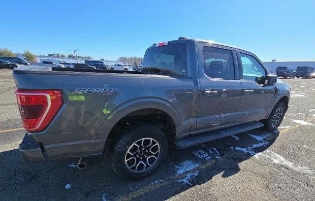 2023 Ford F-150 Vehicle Photo in San Antonio, TX 78230