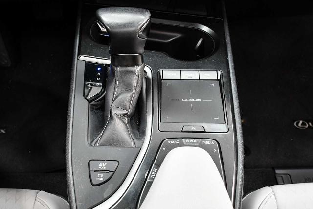 2020 Lexus UX 250h Vehicle Photo in DALLAS, TX 75235
