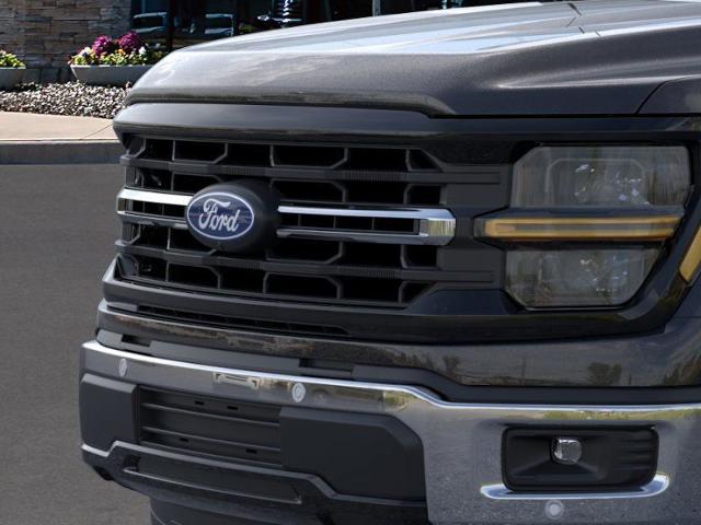 2025 Ford F-150 Vehicle Photo in Weatherford, TX 76087