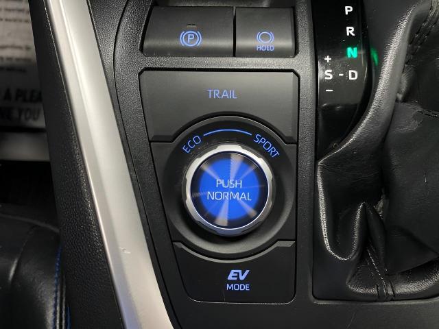 2019 Toyota RAV4 Vehicle Photo in Appleton, WI 54913