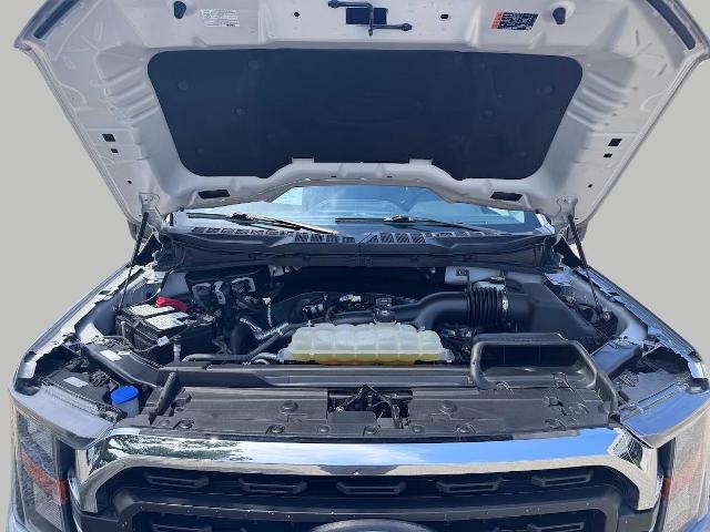 2023 Ford F-150 Vehicle Photo in Oshkosh, WI 54901